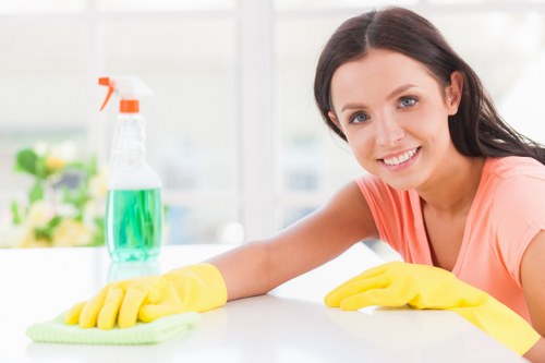 Professional window cleaning in Ruislip for a bright residential property