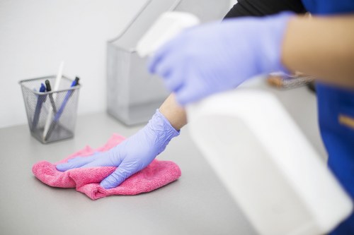 Professional home cleaners providing domestic cleaning in a Ruislip property