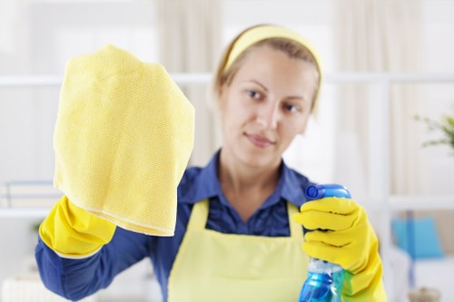 Oven cleaning in Ruislip improving kitchen hygiene and appliance performance