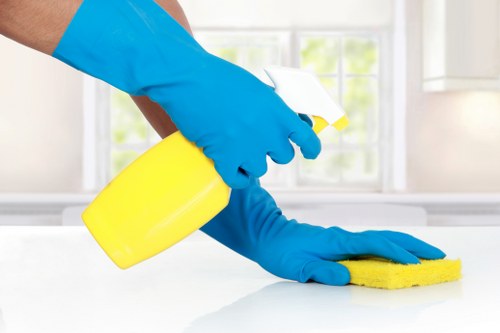 Secure Carpetcleaning Ruislip payment screen with trusted checkout options