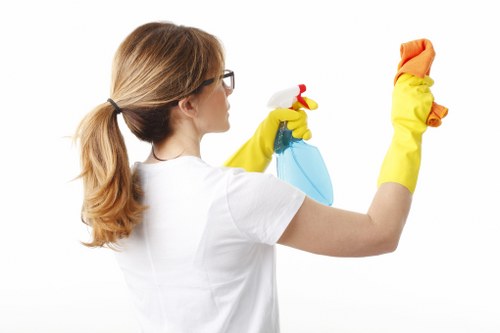 Furniture stain removal and fabric care during upholstery cleaning