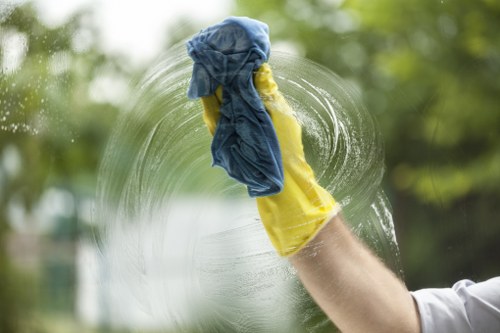 Experienced carpets cleaner in Ruislip treating high-traffic carpet areas